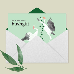 Bushgift card illustration.