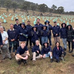 Staff from our corporate partners TBH, planting trees at Scottsdale Reserve in NSW.