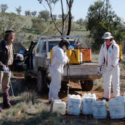 Volunteer weed sprayers at Nardoo Hills. Photo Craig Allen