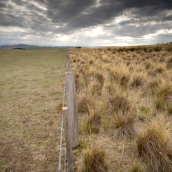 Fence line between Bush Heritage reserve and neighbouring grazing land.