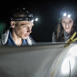 Nikolai Tatarnic (WA Museum) and Paige Maroni (PhD student) blitzing for bugs on Hamelin
