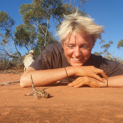 Intern Verity Carscadden observes a Thorny Devil.