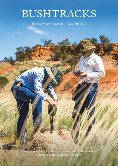 The front cover of Bushtracks Autumn 2022 newsletter shows Pullen Pullen Reserve on Maiawali country, Queensland.