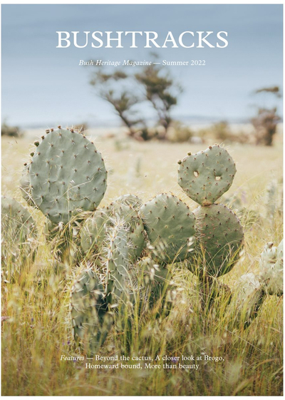 The front cover of Bushtracks Summer 2022 newsletter shows cactus growing on Buckabanyule Reserve.