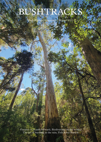 The front cover of Bushtracks Winter 2022 newsletter features towering White Gums on Glovers Flat Reserve.