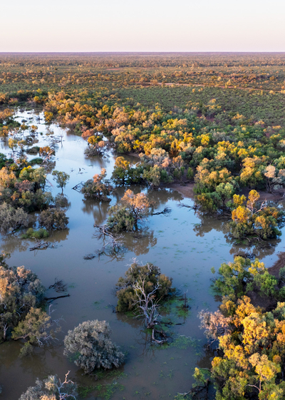 Yantabulla Swamp, which neighbours Nil Desperandum, Budjiti Country, NSW.