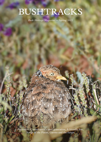 The front cover of Bushtracks Spring 2022 newsletter shows a rare Plains Wanderer bird on Boolcoomatta Reserve.