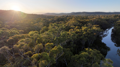 Sunrise over South Esk Pine Reserve.