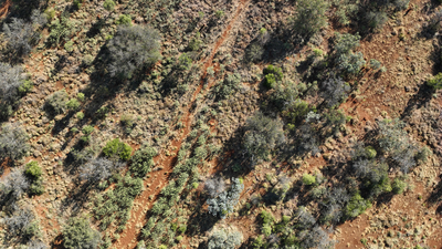 High above Anthony Lagoon Station which is managed by AACo, in the Northern Territory, Wampaya Country. By Ben Galea.