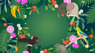 Illustration of various native animals in a green forest.