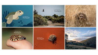 Bundle of six gift cards.