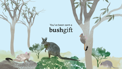 Gift card featuring woodland buddies.
