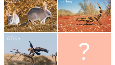 Bushgift Sale bundle