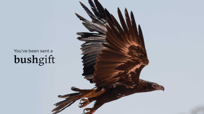 Bushgifts Wedgetail Eagle 1600