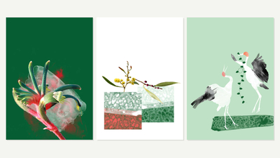 Three Xmas themed gift cards.