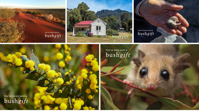 Bushgifts heritage bundle