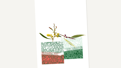 Bushgifts Wattle Waterbrush