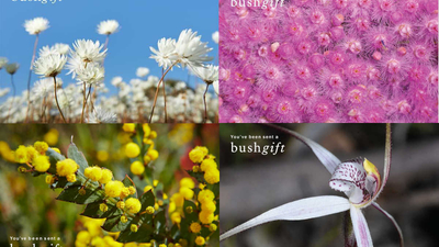 Flora bundle