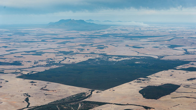 Red Moort and Ediegarrup Reserve with Stirling Ranges in the back.