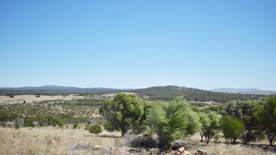Ngulambarra landscape.