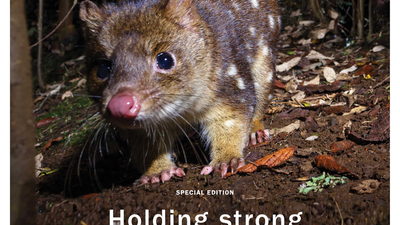 The front cover of Bushtracks Winter 2019 newsletter from Bush Heritage Australia.