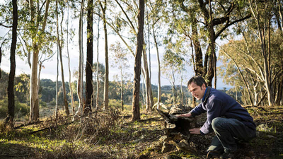 Senior ecologist Dr Matt Appleby on Tarcutta Hills Reserve, Wiradjuri country, NSW. Photo Annette Ruzicka.