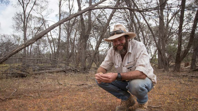 26466 greg carroll mulga