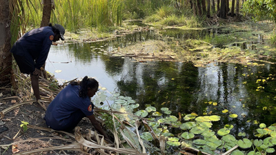 Two women setting fish traps.