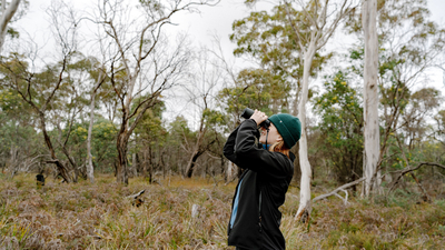 Rebecca McFarlane, looking through binoculars in bushland at Plassey.
