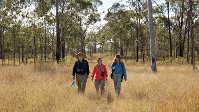 Wildlife biologist Roger Martin, wildlife vet Dr Amy Shima and ecologist Christine Mauger.