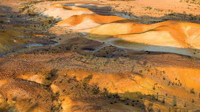 Cover of Bushtracks Magazine Winter 2025, featuring the yellow and white ochre landscape of Evelyn Downs Reserve.