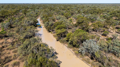 The Cuttaburra Creek runs between Naree and Nil Desperandum.