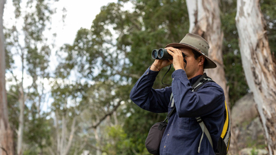 Joshua Wellington with binoculars.