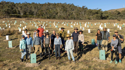 Large group of volunteers planting trees at Scottsdale Reserve.