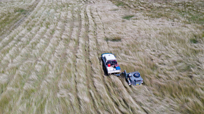 Harvesting bluegrass seeds at Carnarvon Station Reserve. Photo by Krystle Wright.