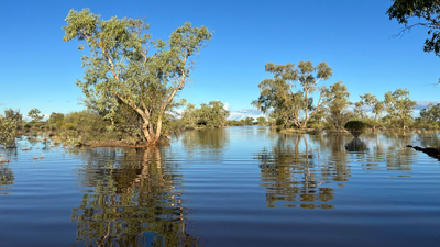 Autumn floods at Ethabuka Reserve, Wangkamadla Country, QLD. By Kyle Barton and Hélène Aubault