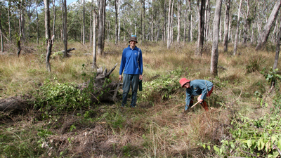 Volunteers Wayne Lewis and Kim Ely weeding at Yourka Reserve.