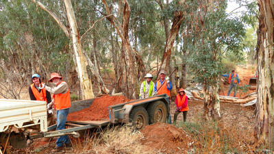 A volunteer working bee at Boolcoomatta Reserve.