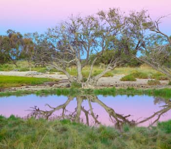 Sunset reflected in artesian spring on Edgbaston Reserve.