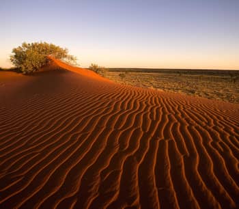 Gay's Dune at Pilungah Reserve.