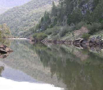 The Murrumbidgee, a wide river, runs through forested hills at Scottsdale Reserve.