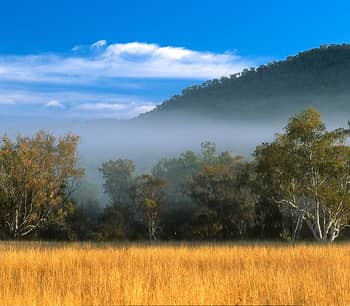 Bluegrass grassland on the Channin Creek floodplain.