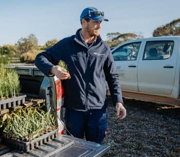 Alex Hams with seedlings for revegetation work.