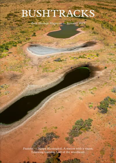 The front cover of Bushtracks Summer 2023 newsletter shows salt lakes and wetlands on Karajarri Country.