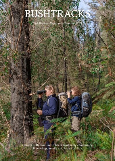 The front cover of Bushtracks Summer 2024 newsletter shows Bush Heritage staff conducting ecological monitoring at Burrin Burrin Reserve.
