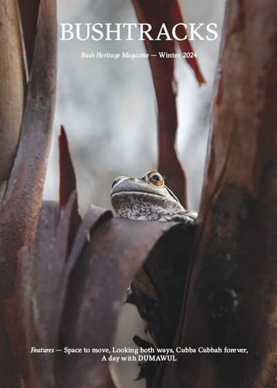 Bushtracks Winter 2024 cover2