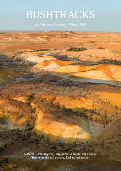 Cover of Bushtracks Magazine Winter 2025, featuring the yellow and white ochre landscape of Evelyn Downs Reserve.