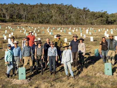 Large group of volunteers planting trees at Scottsdale Reserve.