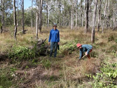 Volunteers Wayne Lewis and Kim Ely weeding at Yourka Reserve.