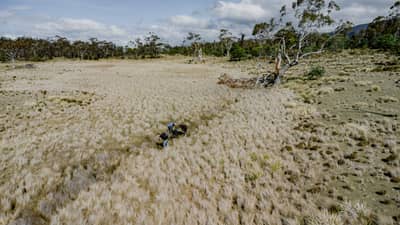 Plassey's critically endangered grasslands protected by the Midlands Conservation Partnership.